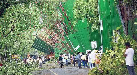 Two die, 100-plus trees uprooted as thunderstorm blows over Delhi city