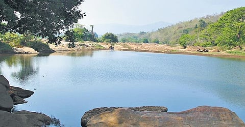 Greens fear Periyar water diversion project would cause scarcity in Kochi