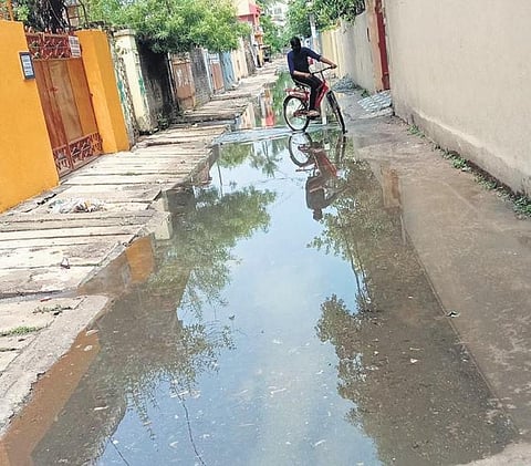 Due to a faulty drainage system, areas have been witnessing waterlogging for several months now. (Photo | EPS)