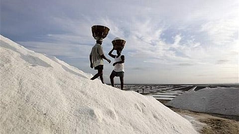 Workers in a salt field. (Representational image | AP)