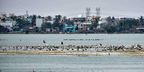 For representational purposes (Photo | EPS)