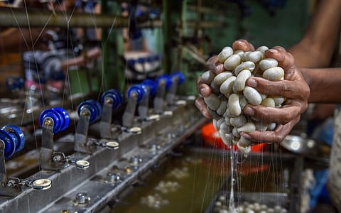 Image of silk cocoon used for representational purpose. (File Photo | PTI)