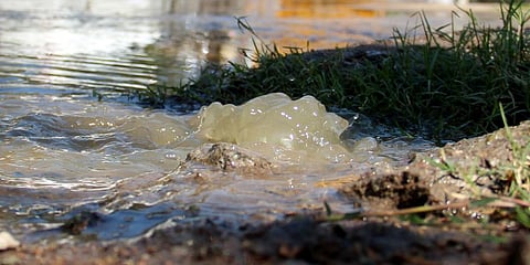 Image used for representational purpose only. (File Photo)