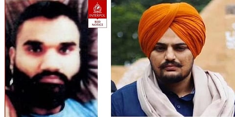 Interpol issued Red Corner Notice against Satinderjit Singh alias Goldy Brar (left) claimed responsibility of killing of Sidhu Moose Wala (right). (Photo | ANI Twitter)