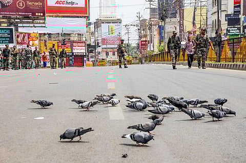 Pigeons look for food on a road as security personnel patrol, a day after clashes during protest against remarks on Prophet Muhammad, in Ranchi. (Photo | PTI)