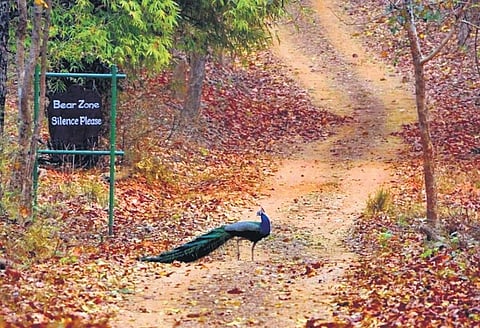 Image used for representational purposes