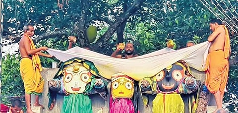 Servitors performing Snana Purnima rituals at Haribaldev Jew temple. (Photo| EPS)