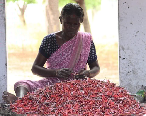 For representational purposes  (File photo| KK Sundar, EPS)