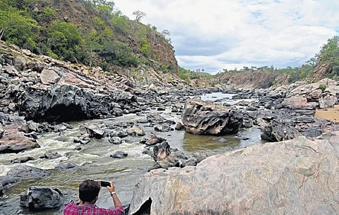 Cauvery flowing at Makedatu in Karnataka’s Ramanagara district | Shiba Prasad Sahu