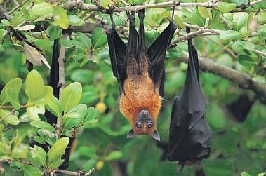 For representational purposes.