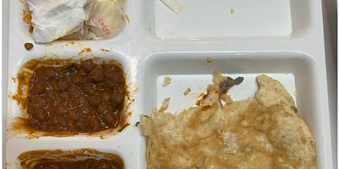 A live lizrd is found on the plate of chola bhature (Photo | @Gurinder Cheema1)