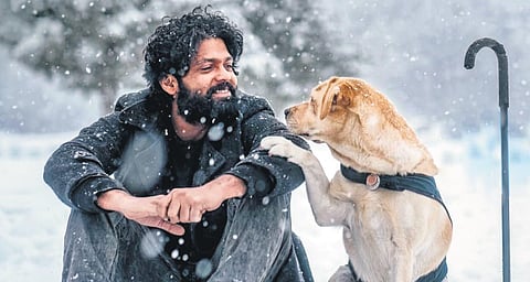 A still from the film 777 Charlie. ( File Photo)