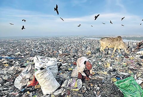 Image for representational purpose only. (File Photo)