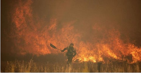 A firefighter works in front of flames during a wildfire in the Sierra de la Culebra in the Zamora Provence. (Photo| AP)