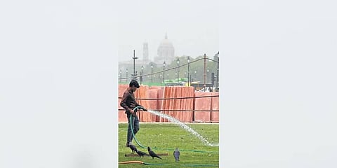 A gardener waters the Rajpath lawns on a hot summer day in the capital | Shekhar Yadav