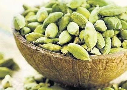 Cardamom growers in distress as price plummets