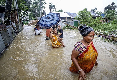 One-horned Rhinos take shelter on the higher ground of a flooded Kaziranga National Park in Assam in 2023