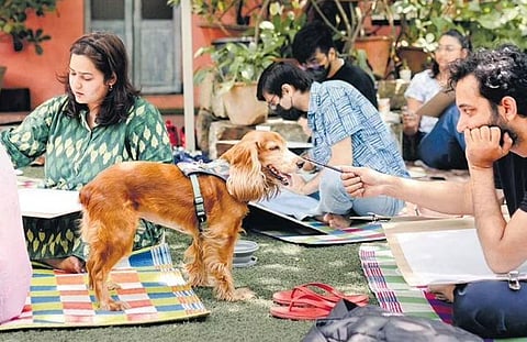 Foodies at The Courtyard, Shantinagar