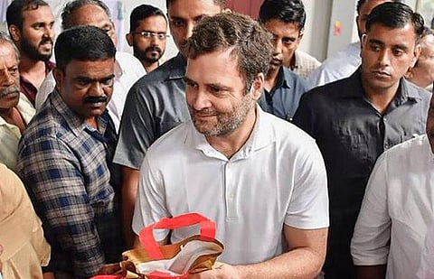 Congress leader Rahul Gandhi in Wayanad, Kerala. (File Photo | PTI)