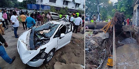 Bank manager dies as tree falls on car