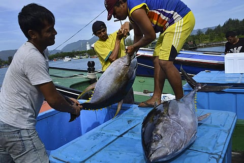 The new watchword is 'blue food' -- sustenance from the sea that is both sustainable and equitable. (File Photo | AFP)