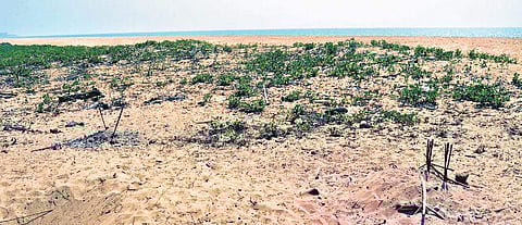 Image of a cremation ground used for representationa purposes only | D Hemanth