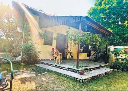 A pet at Ambassador, New Delhi - IHCL SeleQtions.