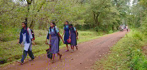 Schoolchildren walk to school.  (Photo | Ashishkrishna HP, EPS)