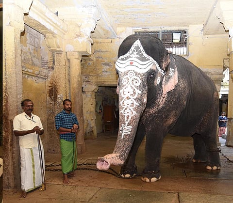 26-year-old Parvathi.