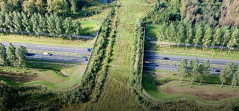 Representational image