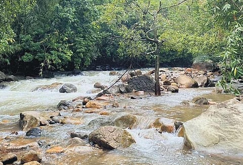 ‘Fall’ing for nature