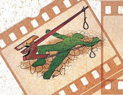 Return of the farmer to bollywood