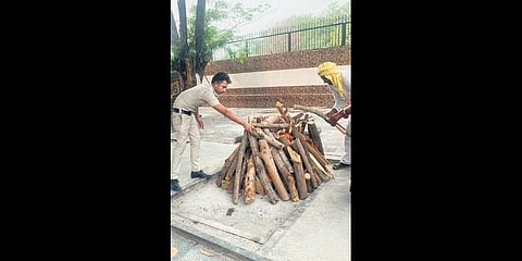 Mundka fire: Final rituals held for last identified victim