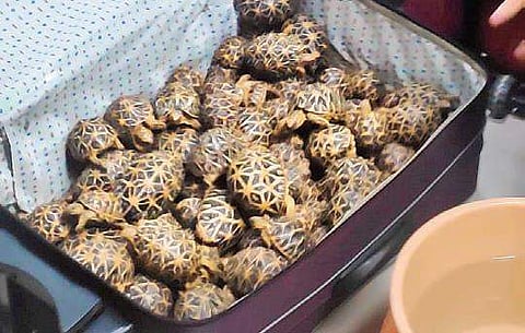 Representational image (File photo| EPS)