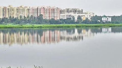 Bellandur lake 