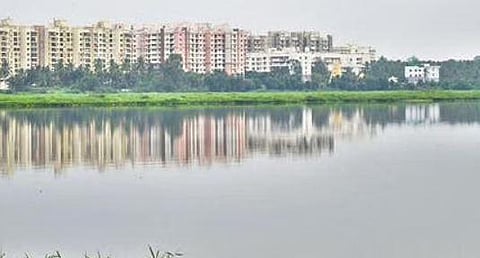 Bellandur lake is one of the largest water bodies in Bengaluru
