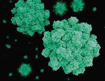 Image used for representational purposes only