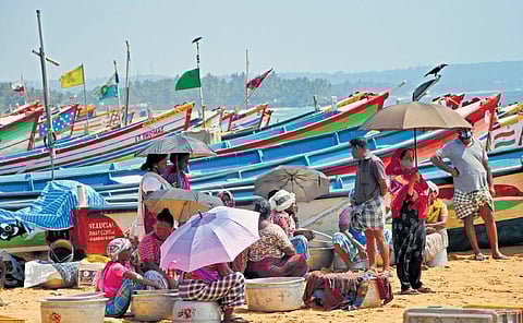 Erratic weather conditions owing to climate change are endangering the livelihood of fisherfolks in the capital. A scene from Poonthura in Thiruvananthapuram