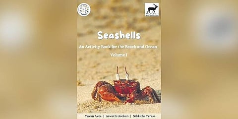 Sea and beach to teach what’s beyond schools’ reach