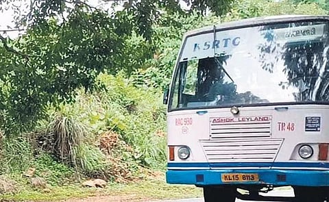 A screen alerting presence of wild elephants near Thumboormuzhi | EXPRESS