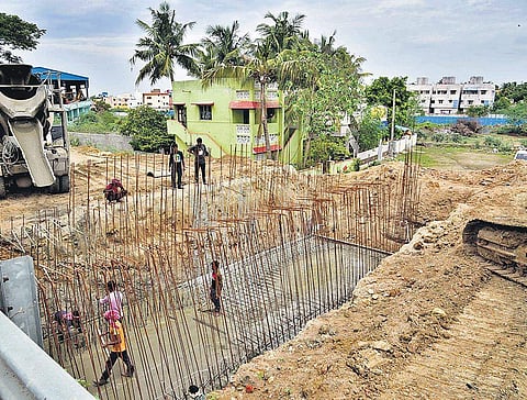 Chennai Corporation axes 50-year-old trees in name of stormwater drains