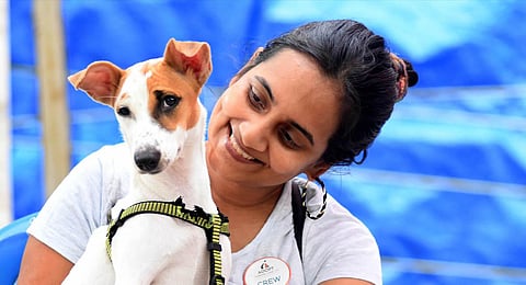 iAdopt makes sure those keen to adopt are committed to caring for the animal through its life span. (Photo | Ashwin Prasath, EPS)