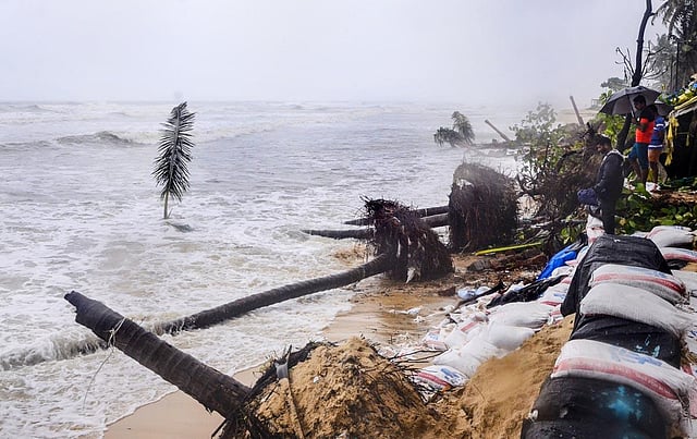 Uprooted coconut trees due to rough sea following heaving rains in Mangaluru. With the rains relenting red alert issued for coastal districts has been scaled back to orange till Friday. (Photo | PTI)