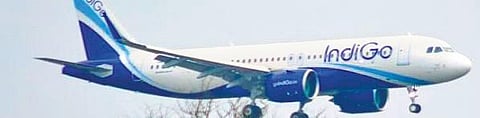IndiGo flight diverted due to engine vibration; technicians still protesting against low salary 