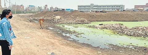 An image clicked by the team while in the process of devising the Malba Map