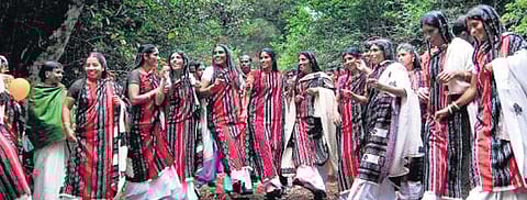 New forest conservation rules spark a fight