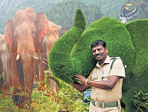 Cholamannan is on a mission to protect elephants | Express