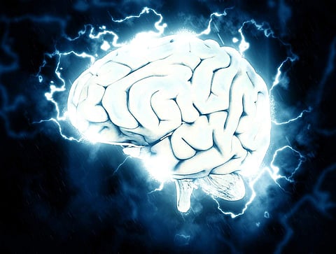 All for grey matter: Tips for a healthy brain