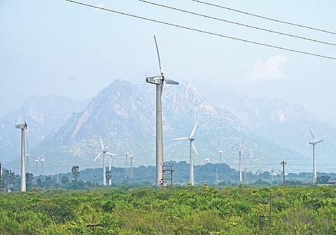 Tangedco sets record in wind power purchase