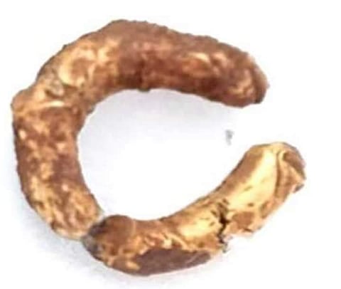 Archaeologists strike 'gold' at Adichanallur site after 117 years